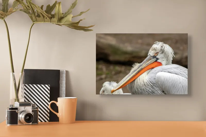 Tablou Canvas, "Pelican visând la orizont liniștit", 39 x 26 cm – poza 3