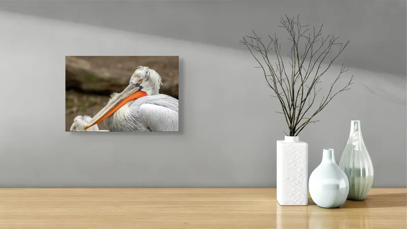 Tablou Canvas, "Pelican visând la orizont liniștit", 39 x 26 cm – poza 8
