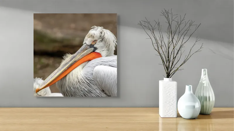 Tablou Canvas, "Pelican visând la orizont liniștit", 50 x 50 cm – poza 3