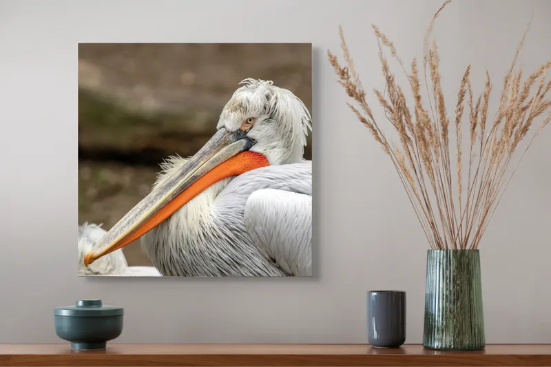 Tablou Canvas, "Pelican visând la orizont liniștit", 50 x 50 cm – poza 4