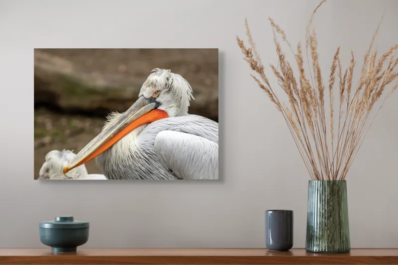 Tablou Canvas, "Pelican visând la orizont liniștit", 54 x 39 cm – poza 4
