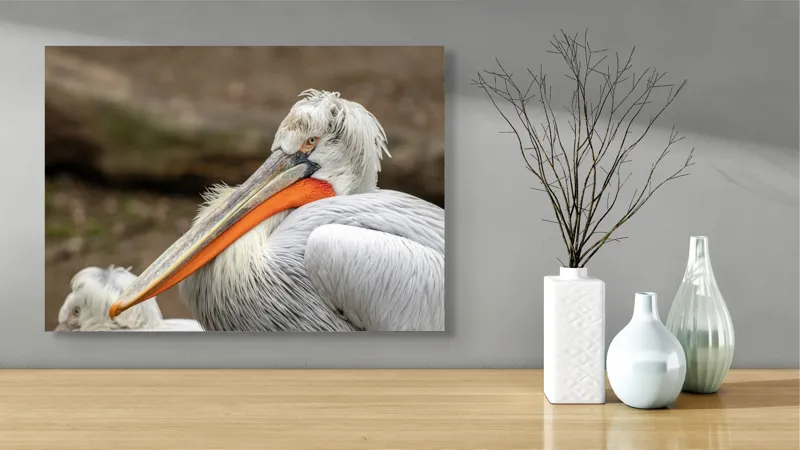 Tablou Canvas, "Pelican visând la orizont liniștit", 70 x 50 cm – poza 3