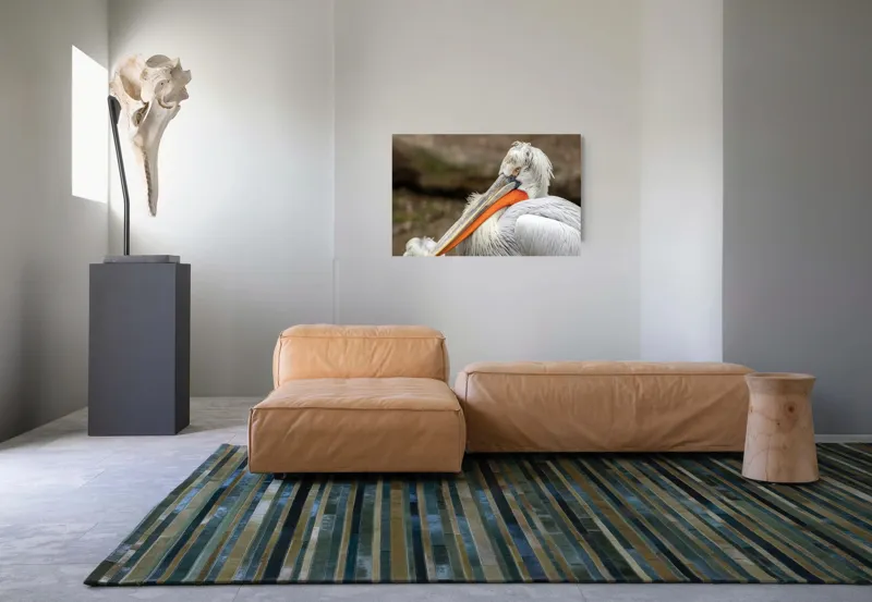Tablou Canvas, "Pelican visând la orizont liniștit", 90 x 50 cm – poza 8