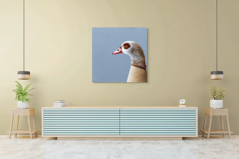 Tablou Canvas, "Gâsca în liniștea dimineții gri", 100 x 100 cm – poza 5