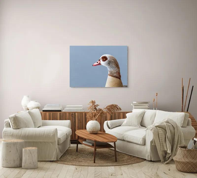 Tablou Canvas, "Gâsca în liniștea dimineții gri", 100 x 70 cm – poza 3