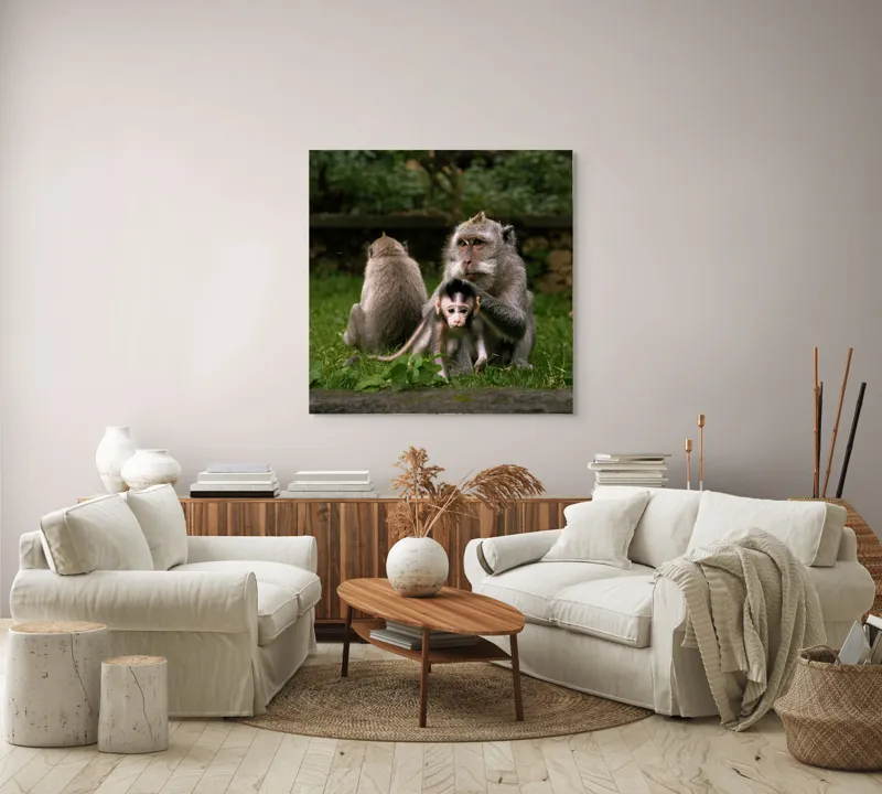 Tablou Canvas, "Familie de maimuțe în natură", Maimuțe, Familie, Pui, Iarbă, Îngrijire, Natură, 100 x 100 cm – poza 3