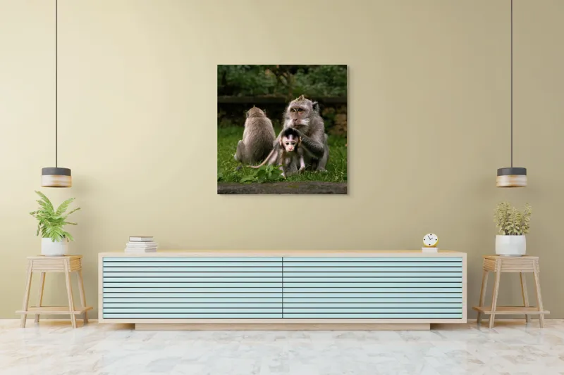 Tablou Canvas, "Familie de maimuțe în natură", Maimuțe, Familie, Pui, Iarbă, Îngrijire, Natură, 100 x 100 cm – poza 5