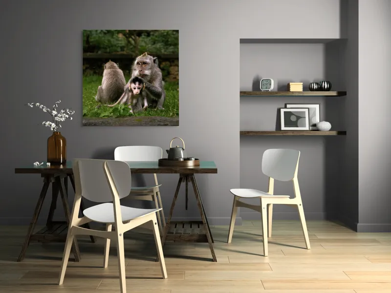 Tablou Canvas, "Familie de maimuțe în natură", Maimuțe, Familie, Pui, Iarbă, Îngrijire, Natură, 100 x 100 cm – poza 6