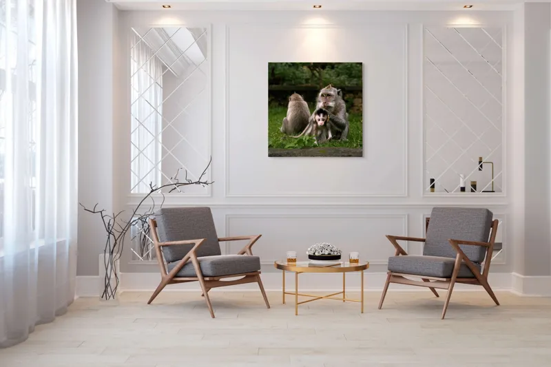Tablou Canvas, "Familie de maimuțe în natură", Maimuțe, Familie, Pui, Iarbă, Îngrijire, Natură, 100 x 100 cm – poza 7