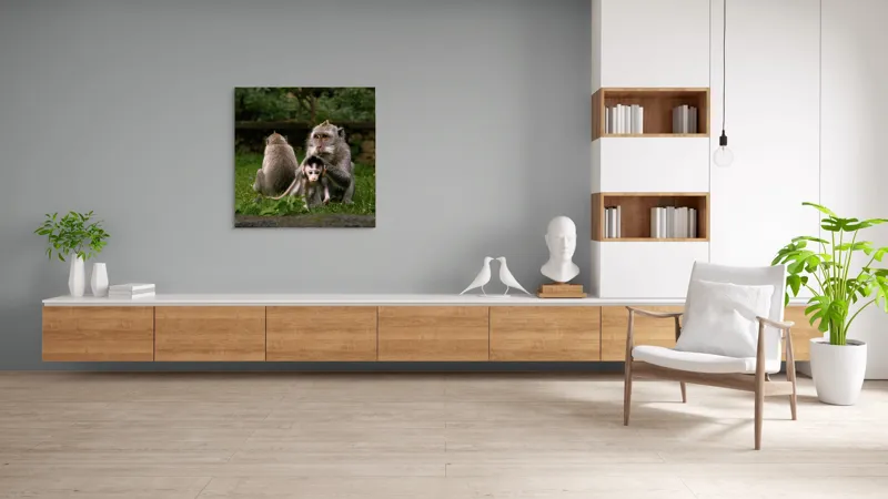Tablou Canvas, "Familie de maimuțe în natură", Maimuțe, Familie, Pui, Iarbă, Îngrijire, Natură, 100 x 100 cm – poza 8