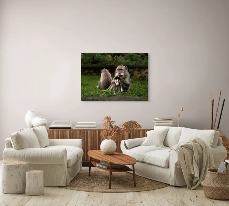 Tablou Canvas, "Familie de maimuțe în natură", Maimuțe, Familie, Pui, Iarbă, Îngrijire, Natură, 100 x 70 cm – poza 3