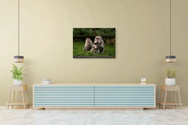 Tablou Canvas, "Familie de maimuțe în natură", Maimuțe, Familie, Pui, Iarbă, Îngrijire, Natură, 100 x 70 cm – poza 4