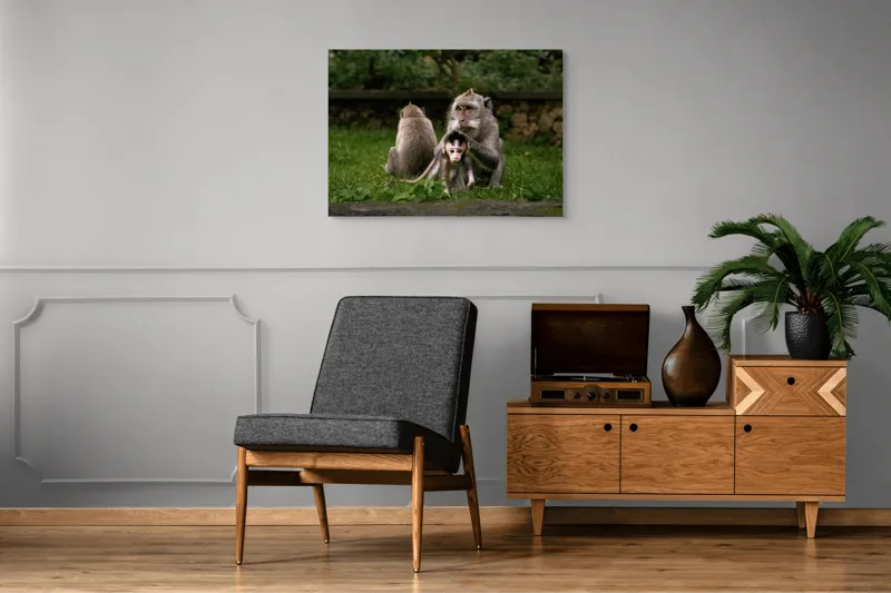 Tablou Canvas, "Familie de maimuțe în natură", Maimuțe, Familie, Pui, Iarbă, Îngrijire, Natură, 100 x 70 cm – poza 8