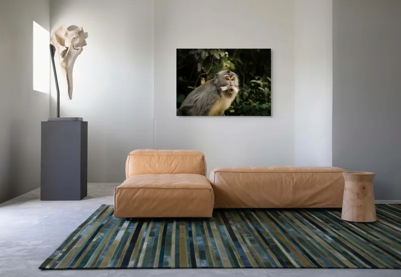 Tablou Canvas, "Maimuța în pădurea tropicală", 100 x 70 cm – poza 7