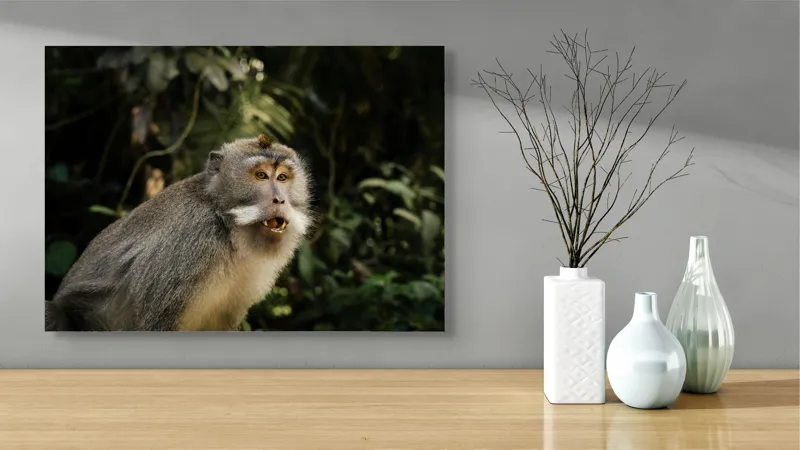 Tablou Canvas, "Maimuța în pădurea tropicală", 70 x 50 cm – poza 3