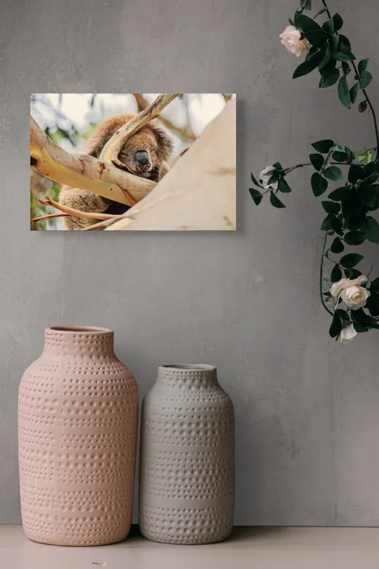 Tablou Canvas, "Koala visând în lumina dimineții", Adormit, Koala, Ramură, Blană, Nas, Eucalipt, Trunchi, Odihnă, Pufos, Leneș, 39 x 26 cm – poza 4