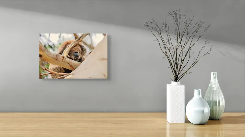 Tablou Canvas, "Koala visând în lumina dimineții", Adormit, Koala, Ramură, Blană, Nas, Eucalipt, Trunchi, Odihnă, Pufos, Leneș, 39 x 26 cm – poza 8