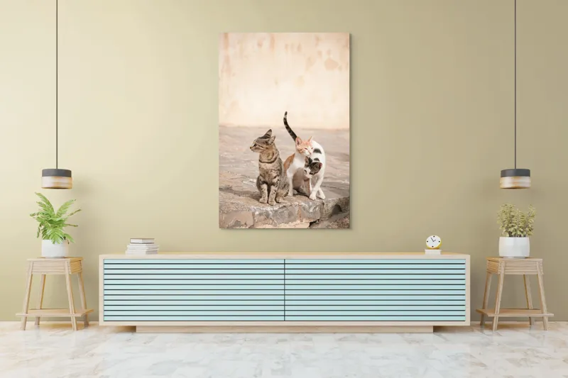 Tablou Canvas, "Trei pisici pe piatra caldă", Pisici, Pietre, Soare, Relaxare, Blană, Cozi, Natura, 100 x 150 cm – poza 4