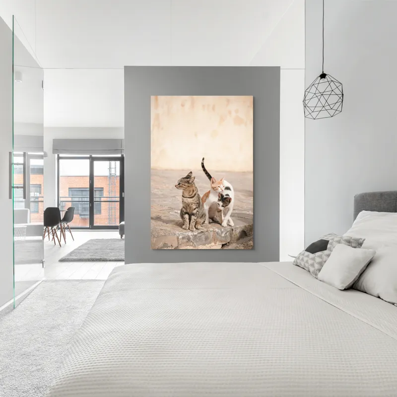 Tablou Canvas, "Trei pisici pe piatra caldă", Pisici, Pietre, Soare, Relaxare, Blană, Cozi, Natura, 100 x 150 cm – poza 5
