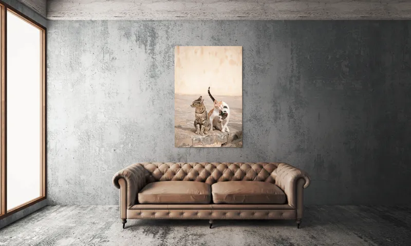 Tablou Canvas, "Trei pisici pe piatra caldă", Pisici, Pietre, Soare, Relaxare, Blană, Cozi, Natura, 100 x 150 cm – poza 6