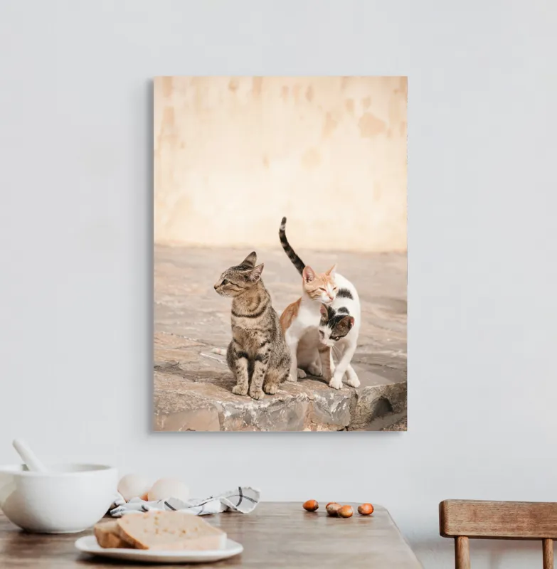 Tablou Canvas, "Trei pisici pe piatra caldă", Pisici, Pietre, Soare, Relaxare, Blană, Cozi, Natura, 50 x 70 cm – poza 3