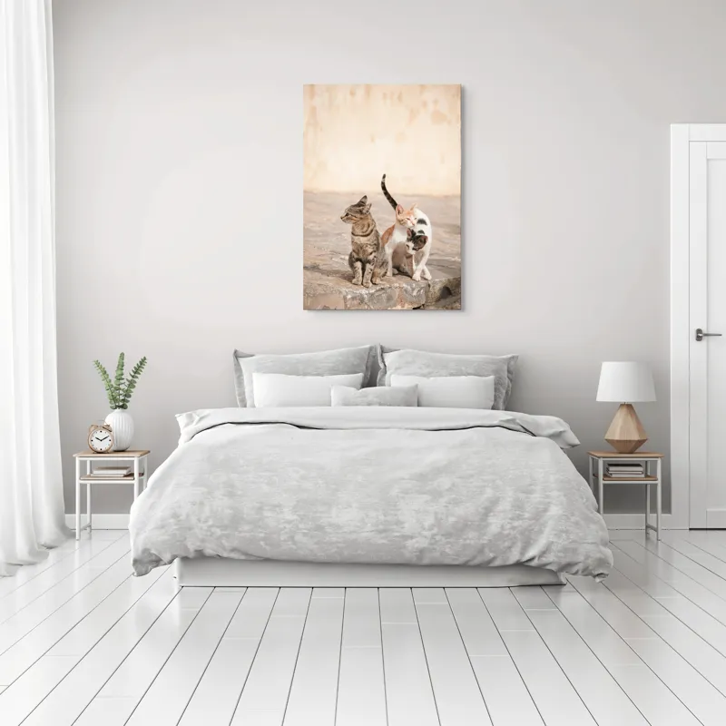Tablou Canvas, "Trei pisici pe piatra caldă", Pisici, Pietre, Soare, Relaxare, Blană, Cozi, Natura, 70 x 100 cm – poza 3