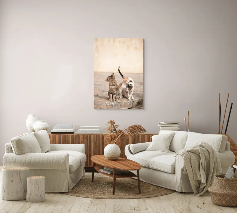 Tablou Canvas, "Trei pisici pe piatra caldă", Pisici, Pietre, Soare, Relaxare, Blană, Cozi, Natura, 70 x 100 cm – poza 4
