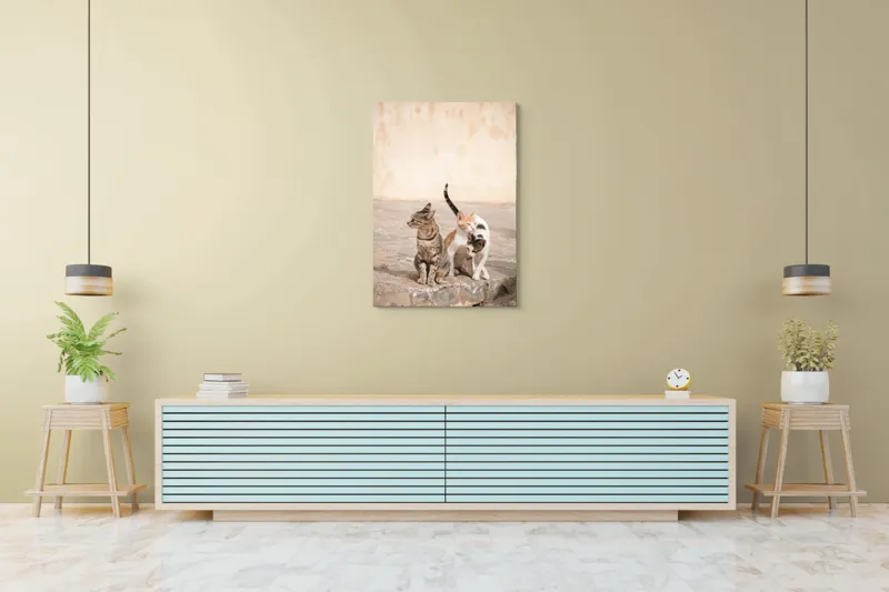 Tablou Canvas, "Trei pisici pe piatra caldă", Pisici, Pietre, Soare, Relaxare, Blană, Cozi, Natura, 70 x 100 cm – poza 5
