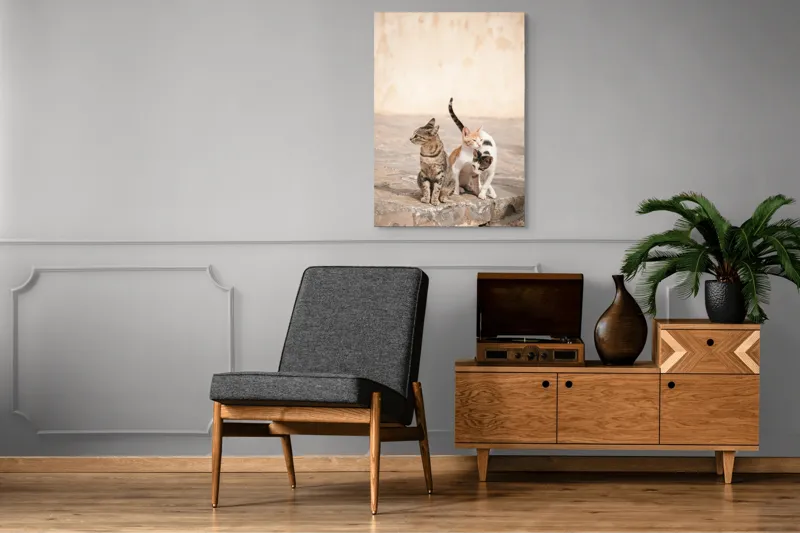 Tablou Canvas, "Trei pisici pe piatra caldă", Pisici, Pietre, Soare, Relaxare, Blană, Cozi, Natura, 70 x 100 cm – poza 6