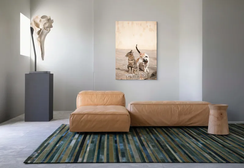 Tablou Canvas, "Trei pisici pe piatra caldă", Pisici, Pietre, Soare, Relaxare, Blană, Cozi, Natura, 70 x 100 cm – poza 7
