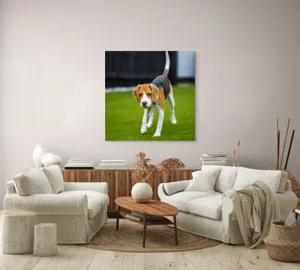 Tablou Canvas, "Câine curios pe gazon verde", 100 x 100 cm – poza 3