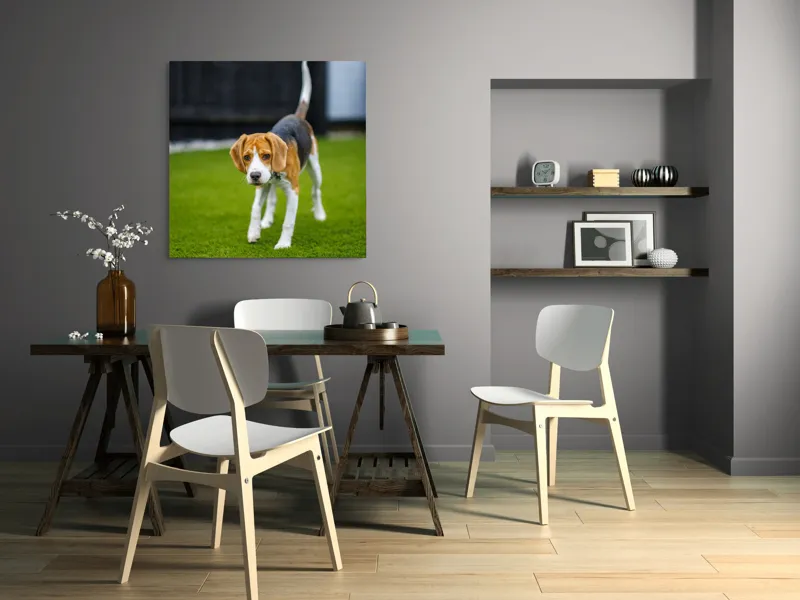 Tablou Canvas, "Câine curios pe gazon verde", 100 x 100 cm – poza 6