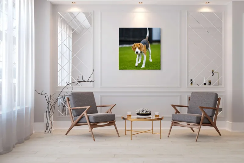 Tablou Canvas, "Câine curios pe gazon verde", 100 x 100 cm – poza 7