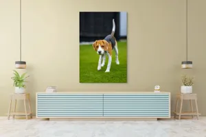Tablou Canvas, "Câine curios pe gazon verde", 100 x 150 cm – poza 4