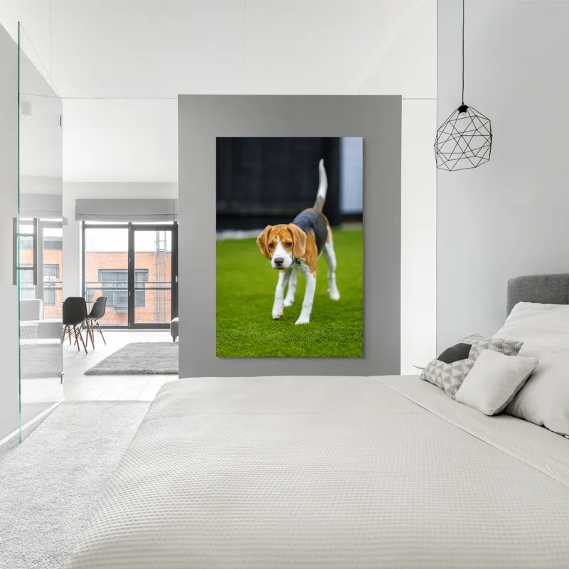 Tablou Canvas, "Câine curios pe gazon verde", 100 x 150 cm – poza 5