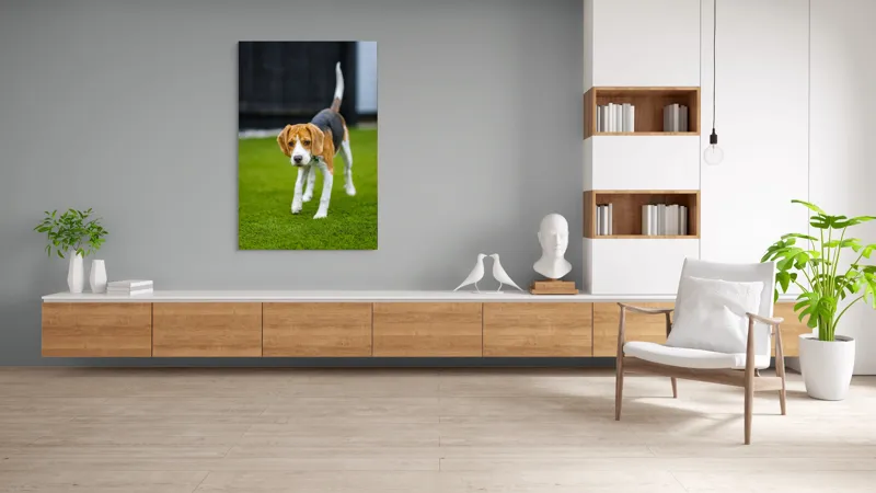 Tablou Canvas, "Câine curios pe gazon verde", 100 x 150 cm – poza 8