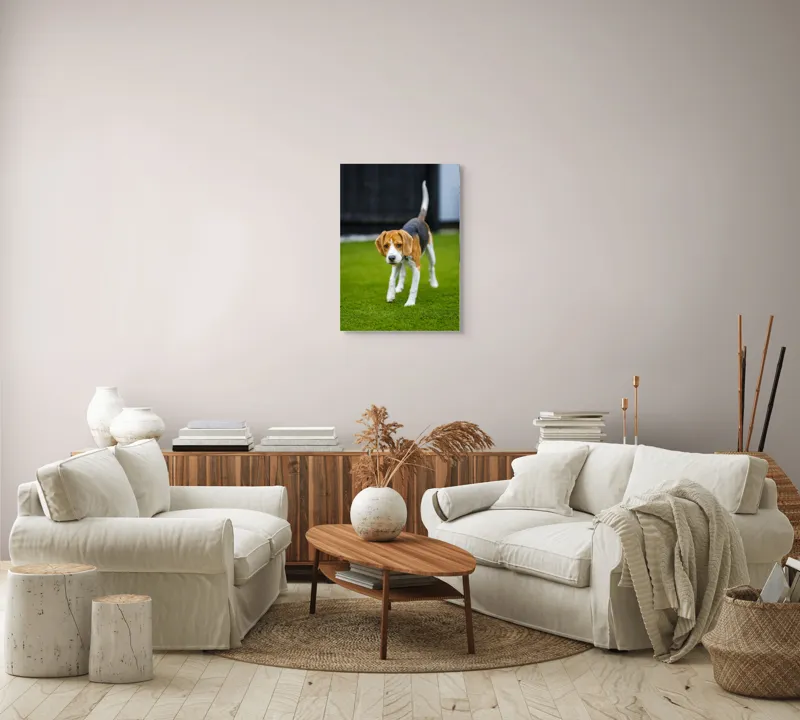 Tablou Canvas, "Câine curios pe gazon verde", 50 x 70 cm – poza 4