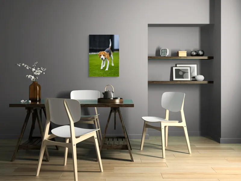 Tablou Canvas, "Câine curios pe gazon verde", 50 x 70 cm – poza 5