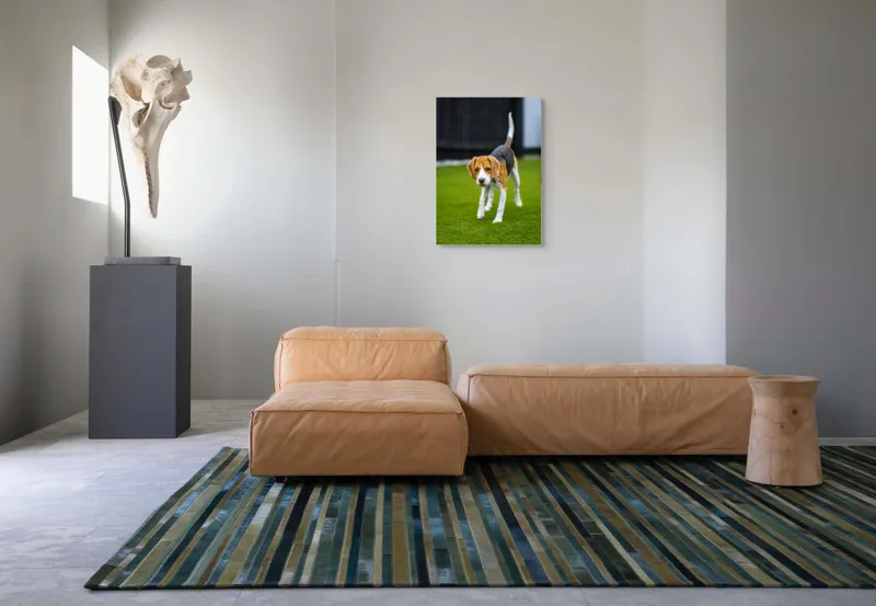 Tablou Canvas, "Câine curios pe gazon verde", 50 x 70 cm – poza 7
