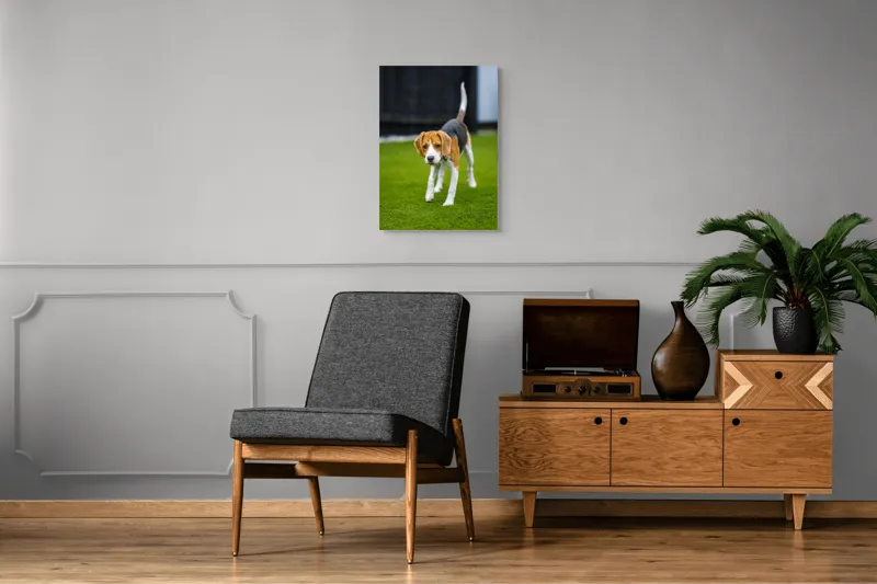 Tablou Canvas, "Câine curios pe gazon verde", 50 x 70 cm – poza 8