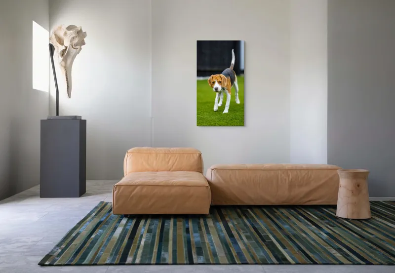 Tablou Canvas, "Câine curios pe gazon verde", 50 x 90 cm – poza 5