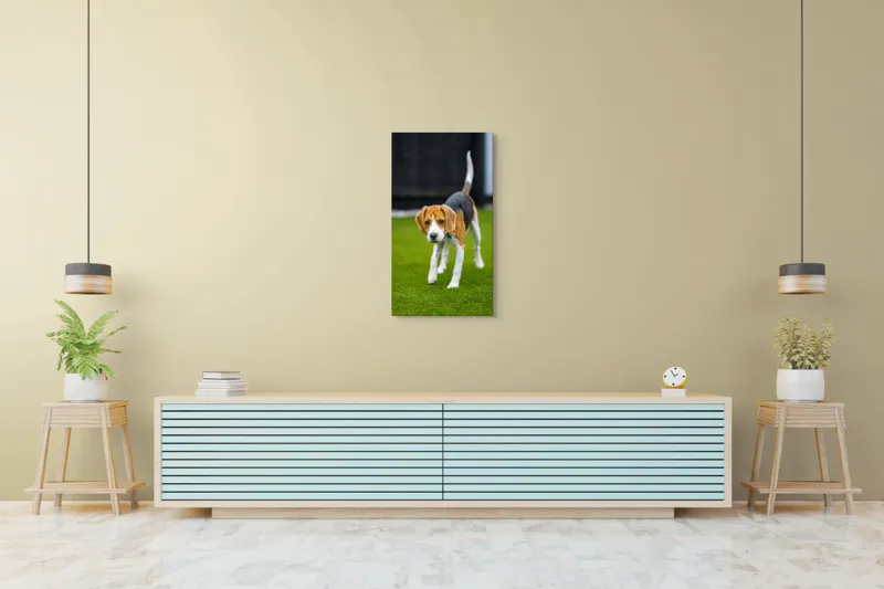 Tablou Canvas, "Câine curios pe gazon verde", 50 x 90 cm – poza 6