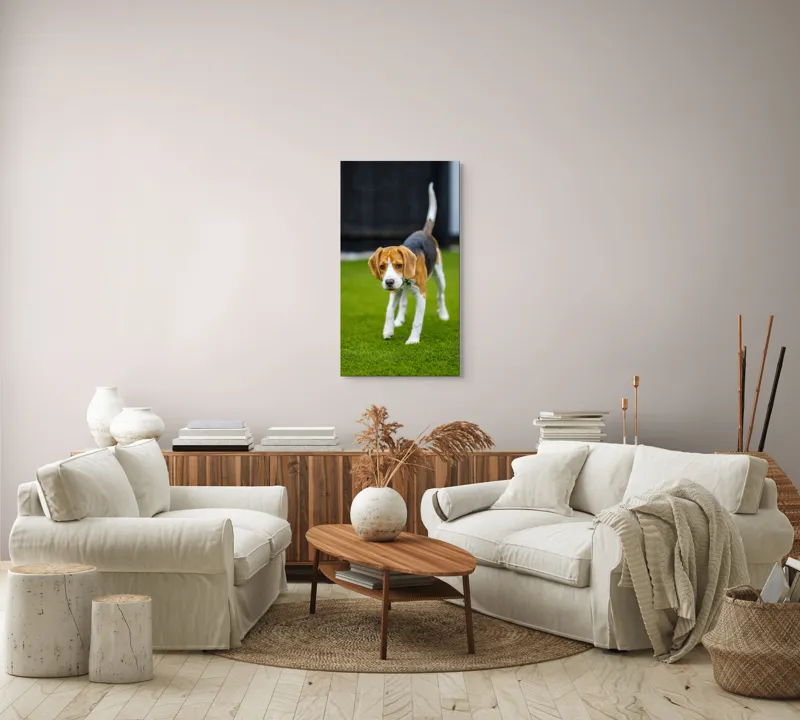 Tablou Canvas, "Câine curios pe gazon verde", 50 x 90 cm – poza 7