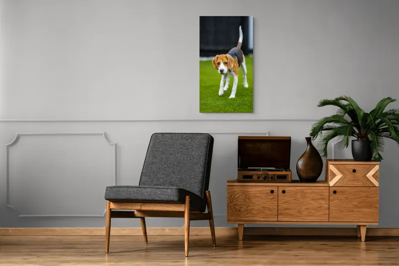 Tablou Canvas, "Câine curios pe gazon verde", 50 x 90 cm – poza 8