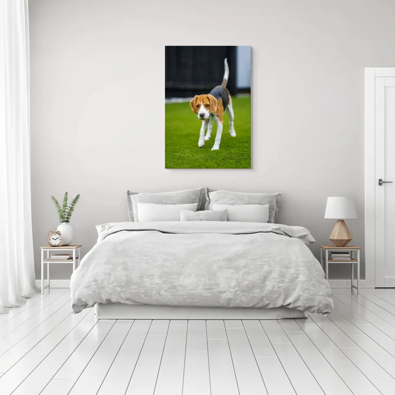 Tablou Canvas, "Câine curios pe gazon verde", 70 x 100 cm – poza 3