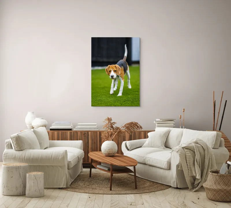 Tablou Canvas, "Câine curios pe gazon verde", 70 x 100 cm – poza 4