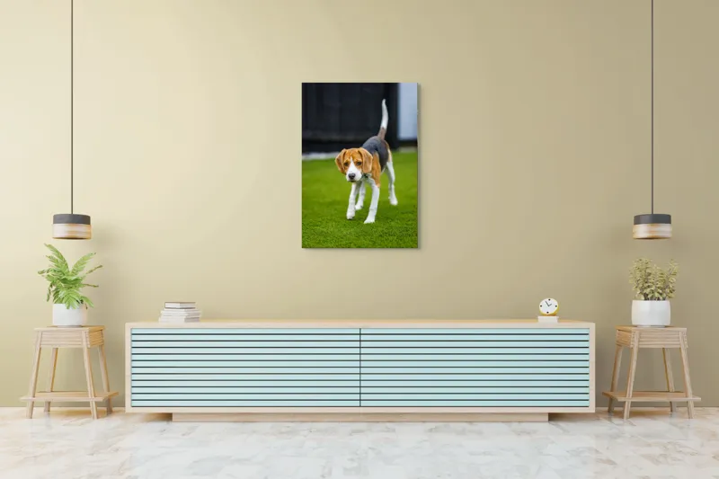 Tablou Canvas, "Câine curios pe gazon verde", 70 x 100 cm – poza 5