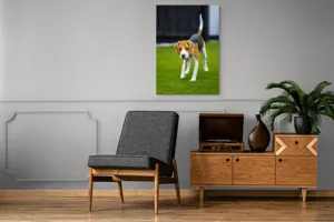 Tablou Canvas, "Câine curios pe gazon verde", 70 x 100 cm – poza 6
