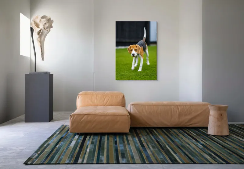 Tablou Canvas, "Câine curios pe gazon verde", 70 x 100 cm – poza 7