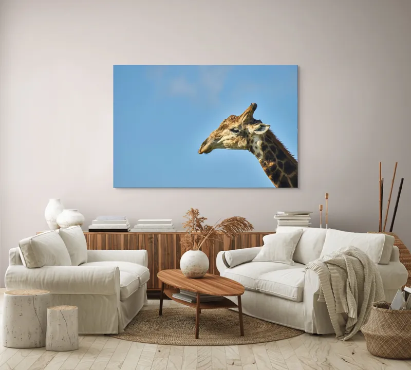 Tablou Canvas, "Stăpânul înălțimilor sub cerul senin", Ghepard, Cer, Roti, Pustiu, Apus, Curbe, Contur, Pene, 150 x 100 cm – poza 3